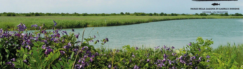 Paesaggio lagunare
